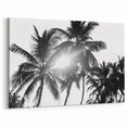 Black and White Palm Tree Wall Art | Botanical Tree Prints