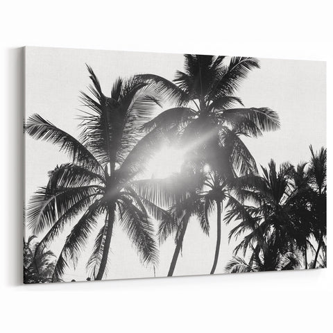 Black and White Palm Tree Wall Art | Botanical Tree Prints