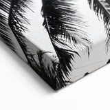 Black and White Palm Tree Wall Art | Botanical Tree Prints
