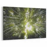 Bamboo Forest Canopy – Nature-Inspired Tree Art on Canvas and Acrylic Glass