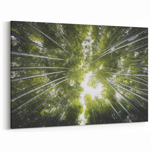 Bamboo Forest Canopy – Nature-Inspired Tree Art on Canvas and Acrylic Glass