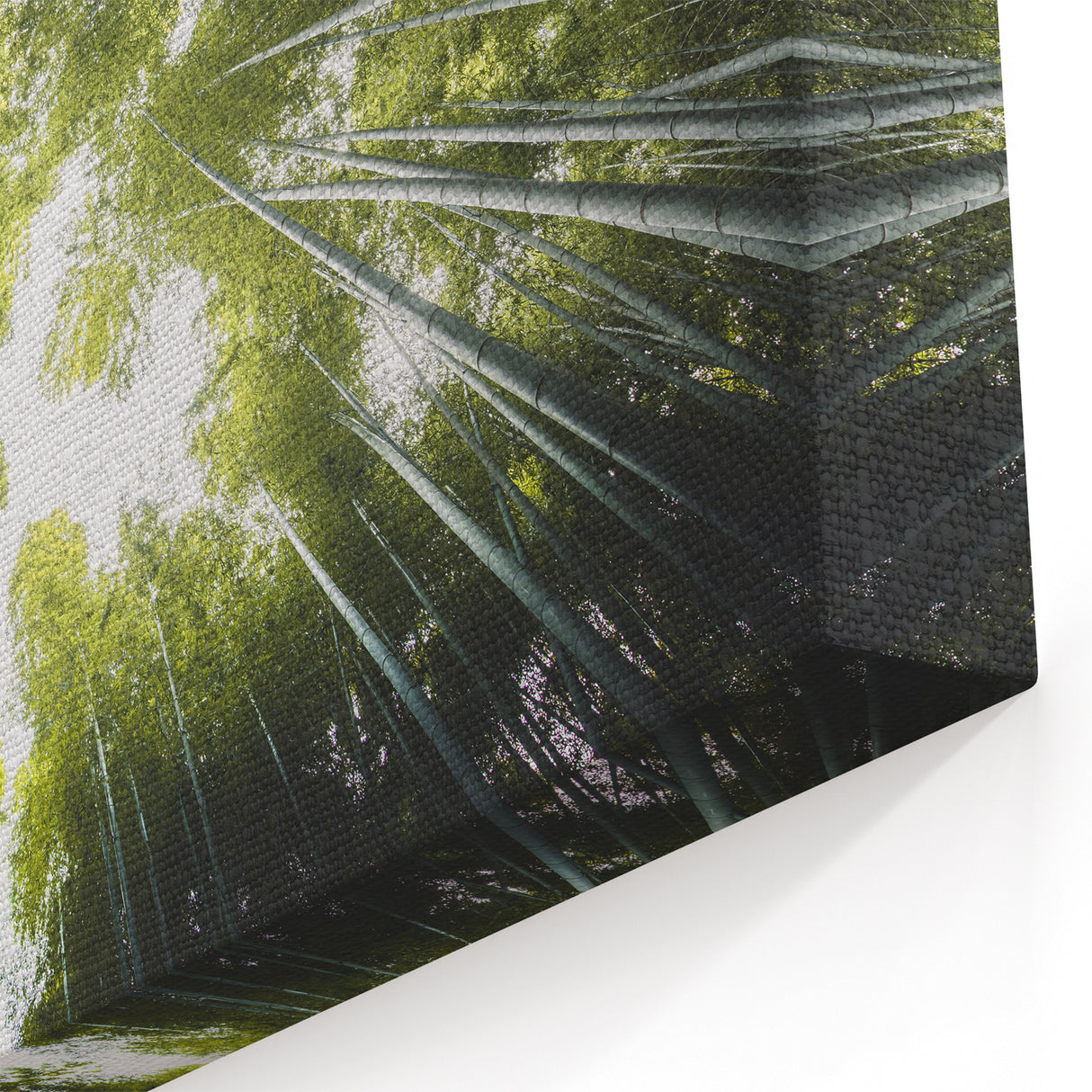 Bamboo Forest Canopy – Nature-Inspired Tree Art on Canvas and Acrylic Glass
