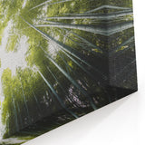 Bamboo Forest Canopy – Nature-Inspired Tree Art on Canvas and Acrylic Glass