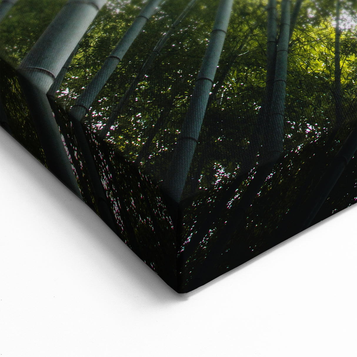 Bamboo Forest Canopy – Nature-Inspired Tree Art on Canvas and Acrylic Glass