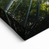 Bamboo Forest Canopy – Nature-Inspired Tree Art on Canvas and Acrylic Glass