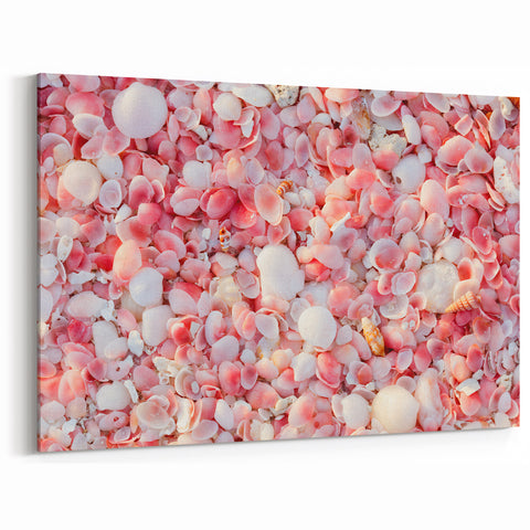 Antigua Beach Shell Art - Scenic Caribbean Coastal Prints for Home Decor