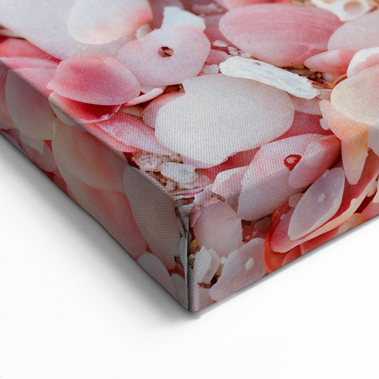 Antigua Beach Shell Art - Scenic Caribbean Coastal Prints for Home Decor