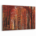 Fiery Autumn Forest – Bold Tree Art on Canvas and Acrylic Glass