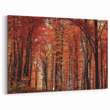 Fiery Autumn Forest – Bold Tree Art on Canvas and Acrylic Glass