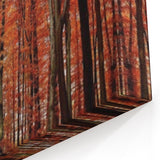 Fiery Autumn Forest – Bold Tree Art on Canvas and Acrylic Glass
