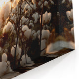 Sunset Cotton Blossom Art - Rustic Cotton Field Wall Decor