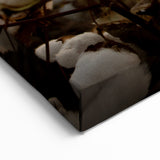 Sunset Cotton Blossom Art - Rustic Cotton Field Wall Decor