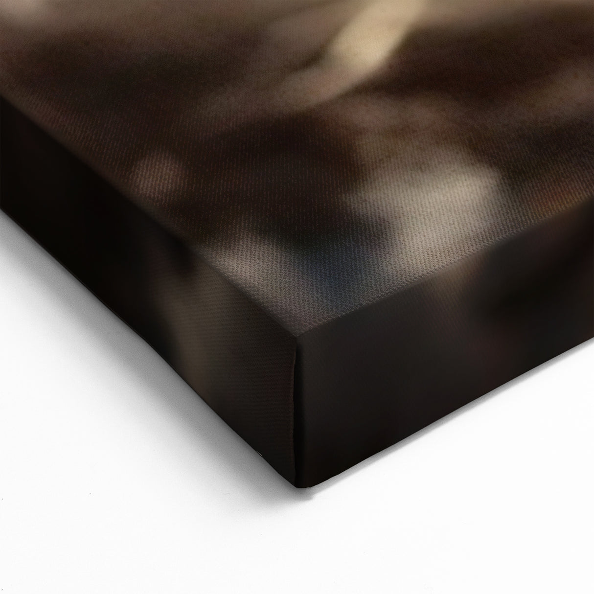 Botanical Cotton Bloom Art - Minimalist Cotton Plant Wall Decor