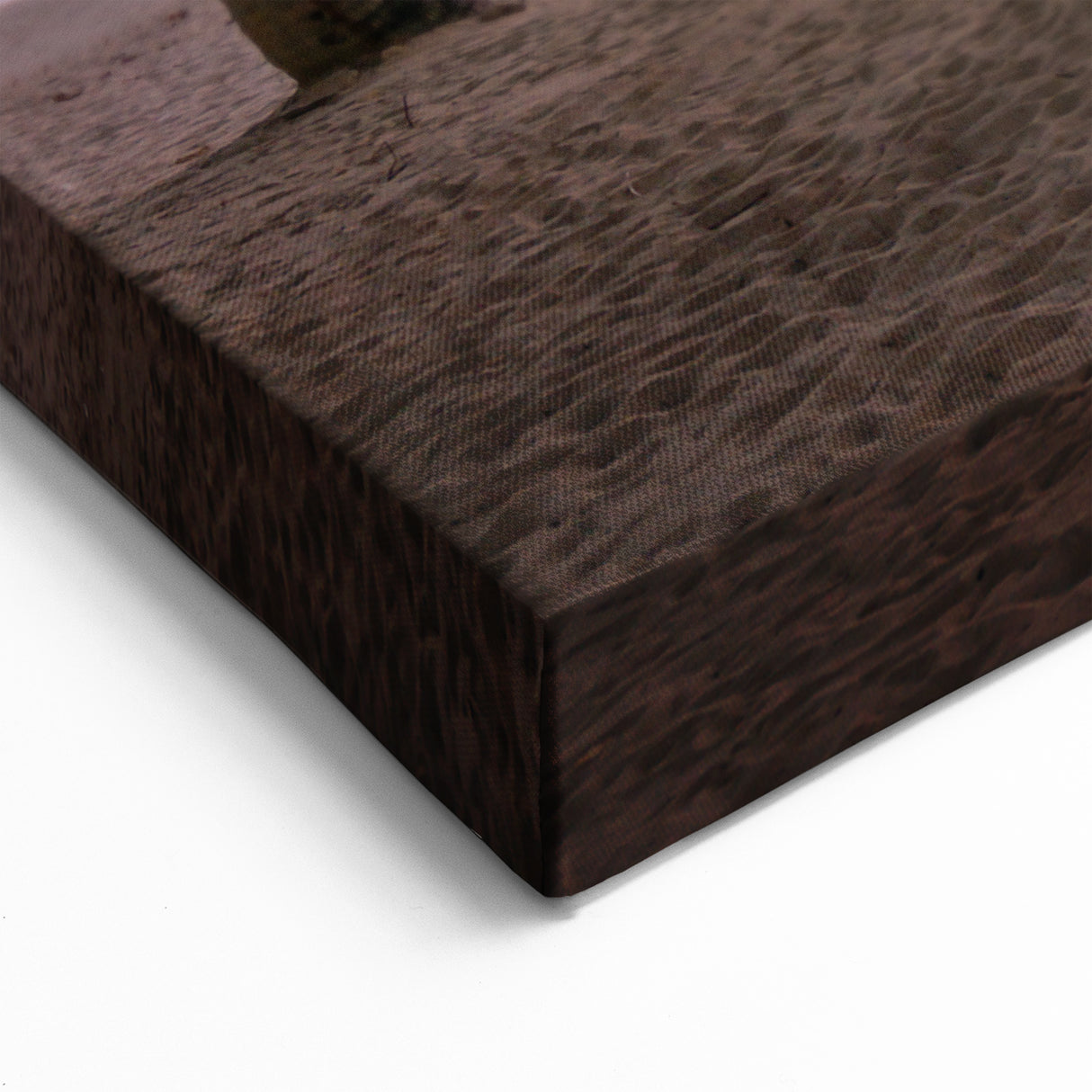 Scenic Antigua Posters - Tropical Sunset with Palm Trees Coastal Art