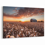 Rustic Cotton Field Art - Sunset Print
