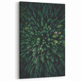 Forest Canopy Aerial View – Modern Tree Art on Canvas and Acrylic