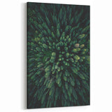 Forest Canopy Aerial View – Modern Tree Art on Canvas and Acrylic