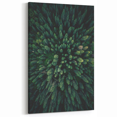 Forest Canopy Aerial View – Modern Tree Art on Canvas and Acrylic