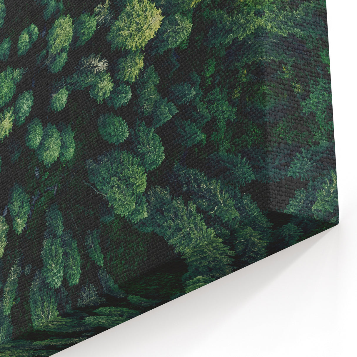 Forest Canopy Aerial View – Modern Tree Art on Canvas and Acrylic