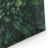 Forest Canopy Aerial View – Modern Tree Art on Canvas and Acrylic