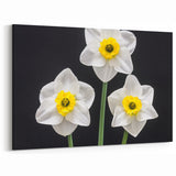Elegant Daffodil Wall Art | Vibrant Botanical Yellow Flower Canvas Print