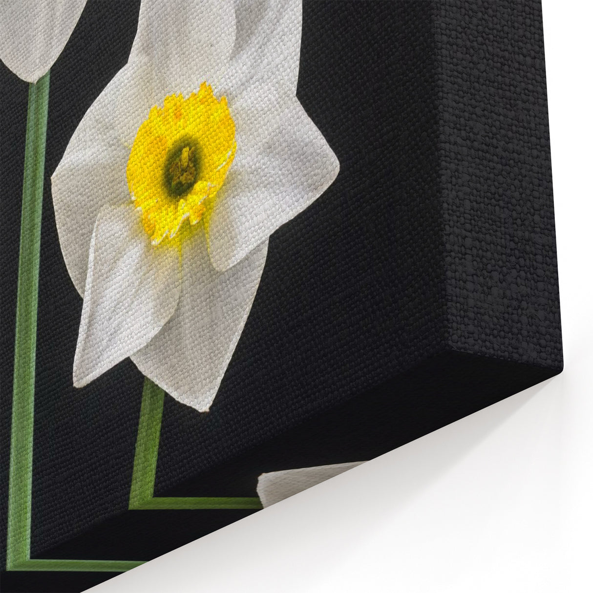 Elegant Daffodil Wall Art | Vibrant Botanical Yellow Flower Canvas Print