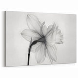 Minimalist Daffodil Wall Art | Elegant Monochrome Botanical Flower Print