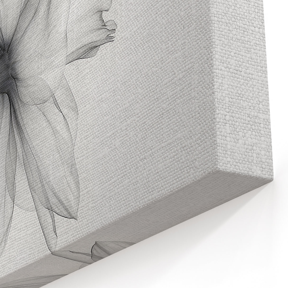 Minimalist Daffodil Wall Art | Elegant Monochrome Botanical Flower Print