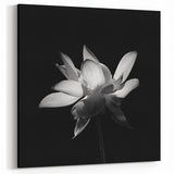 Elegant Black and White Tropical Flower Art | Botanical Floral Wall Decor