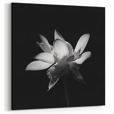 Elegant Black and White Tropical Flower Art | Botanical Floral Wall Decor