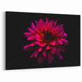 Vibrant Dahlia Wall Art Print | Botanical Flower Canvas for Home Decor