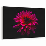 Vibrant Dahlia Wall Art Print | Botanical Flower Canvas for Home Decor