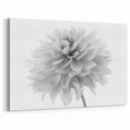 Elegant Black and White Dahlia Wall Art | Botanical Floral Canvas Print