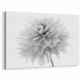 Elegant Black and White Dahlia Wall Art | Botanical Floral Canvas Print
