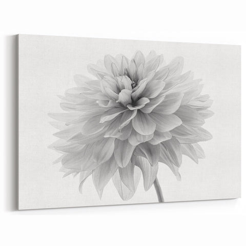 Elegant Black and White Dahlia Wall Art | Botanical Floral Canvas Print