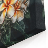 Tropical Plumeria Floral Art - Elegant Botanical Wall Decor Print