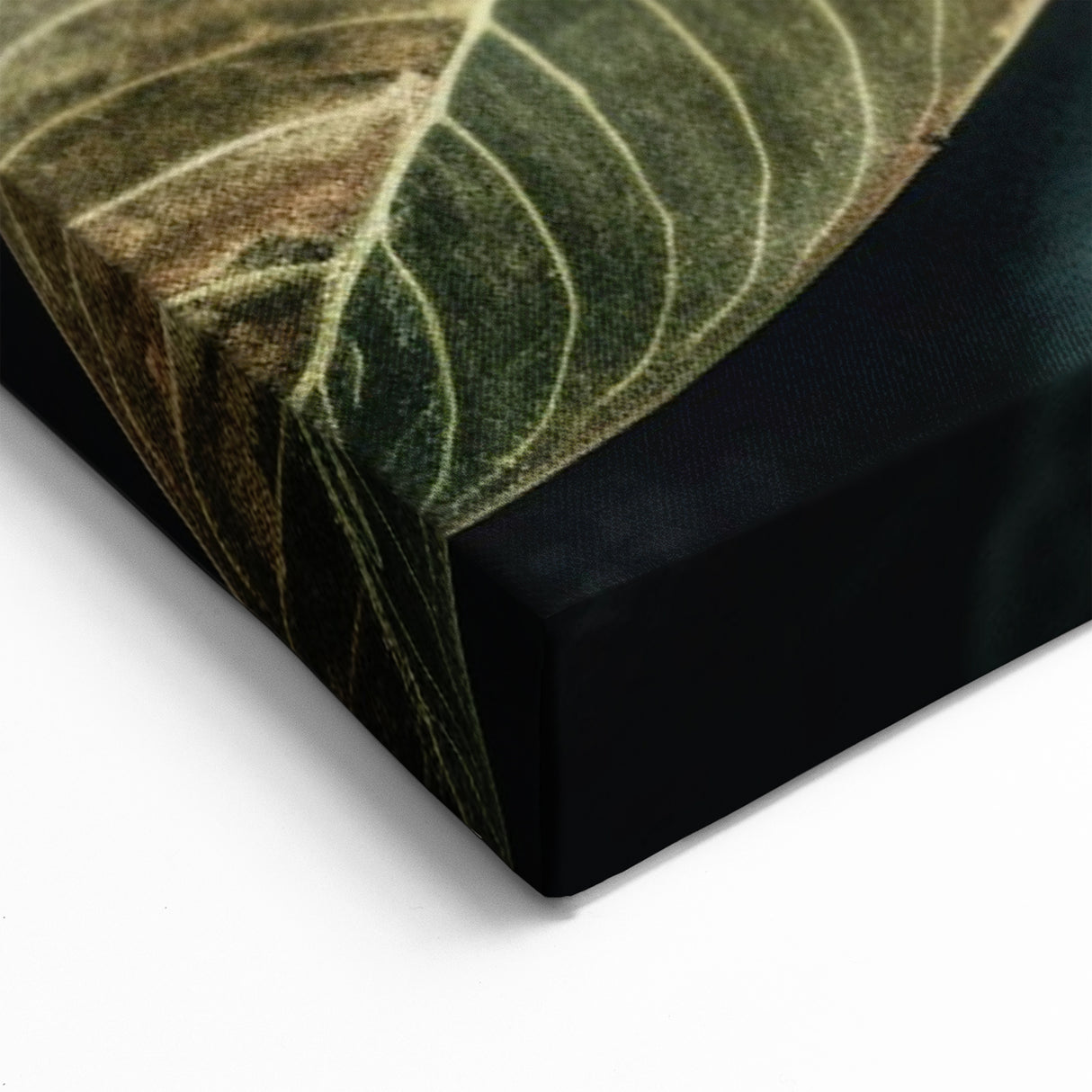 Tropical Plumeria Floral Art - Elegant Botanical Wall Decor Print