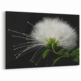 Elegant Tropical White Flower Art - Botanical Wall Decor Print