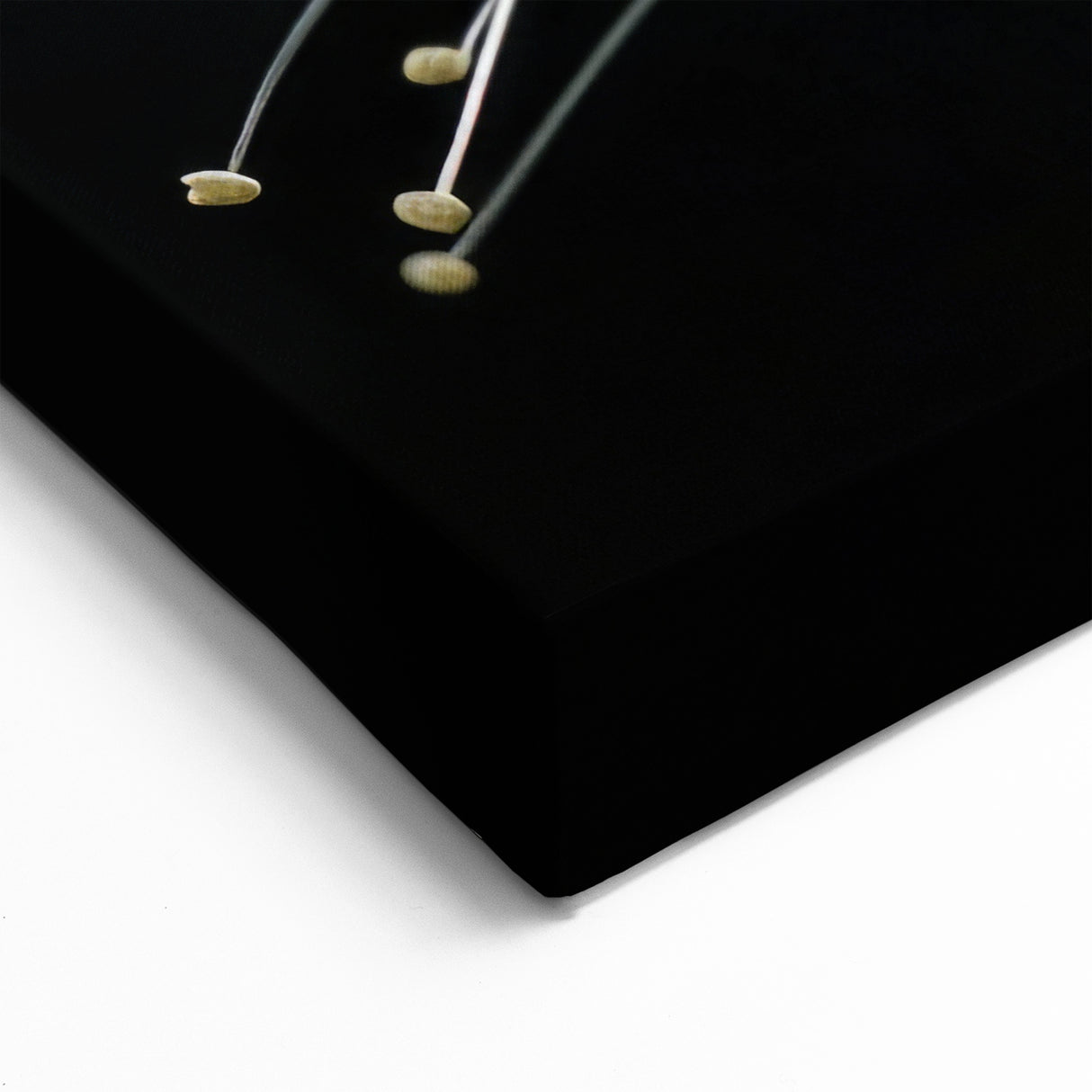 Elegant Tropical White Flower Art - Botanical Wall Decor Print