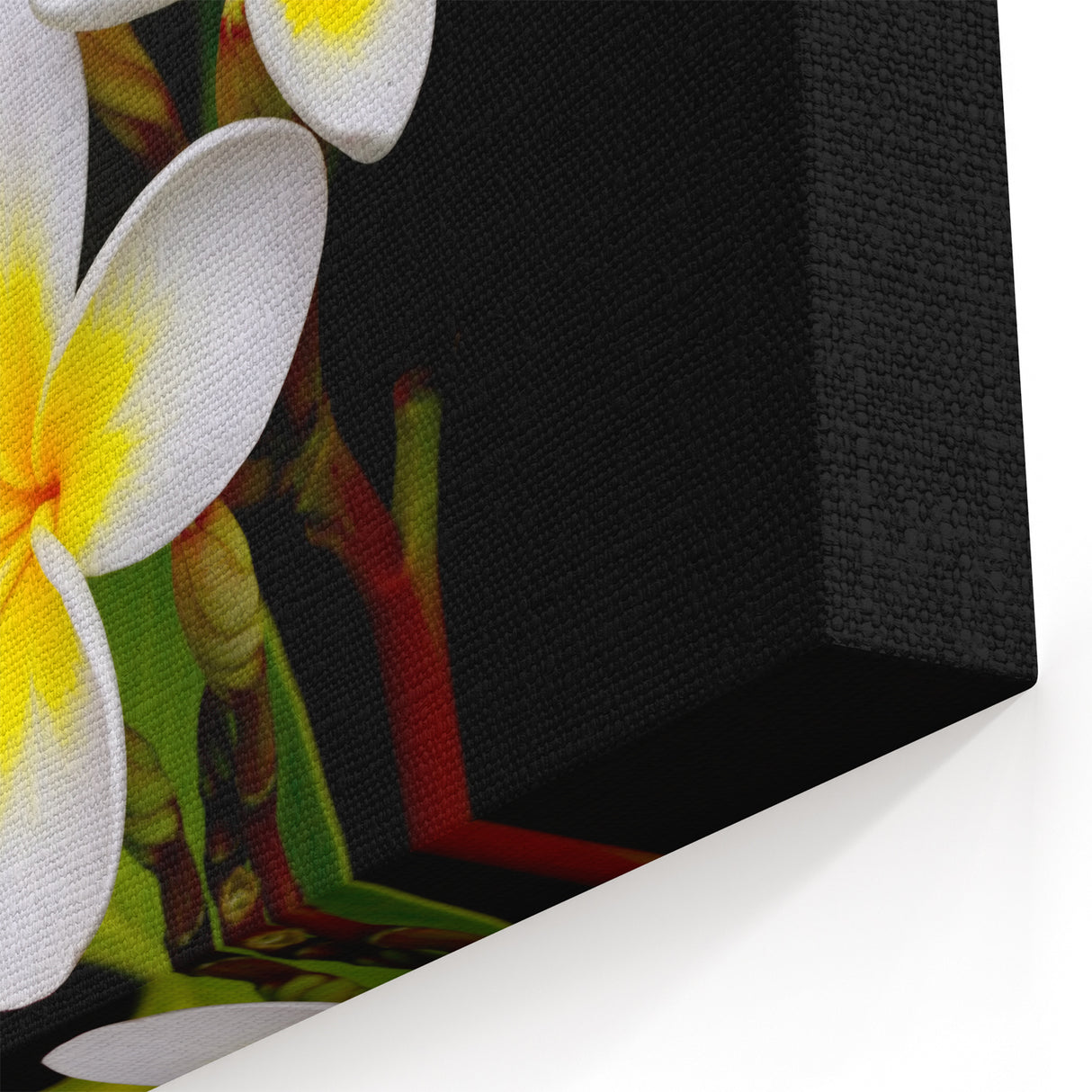 Minimalist Tropical Plumeria Art - White and Yellow Botanical Print