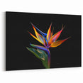 Vibrant Bird of Paradise Flower Art - Exotic Botanical Wall Decor Print