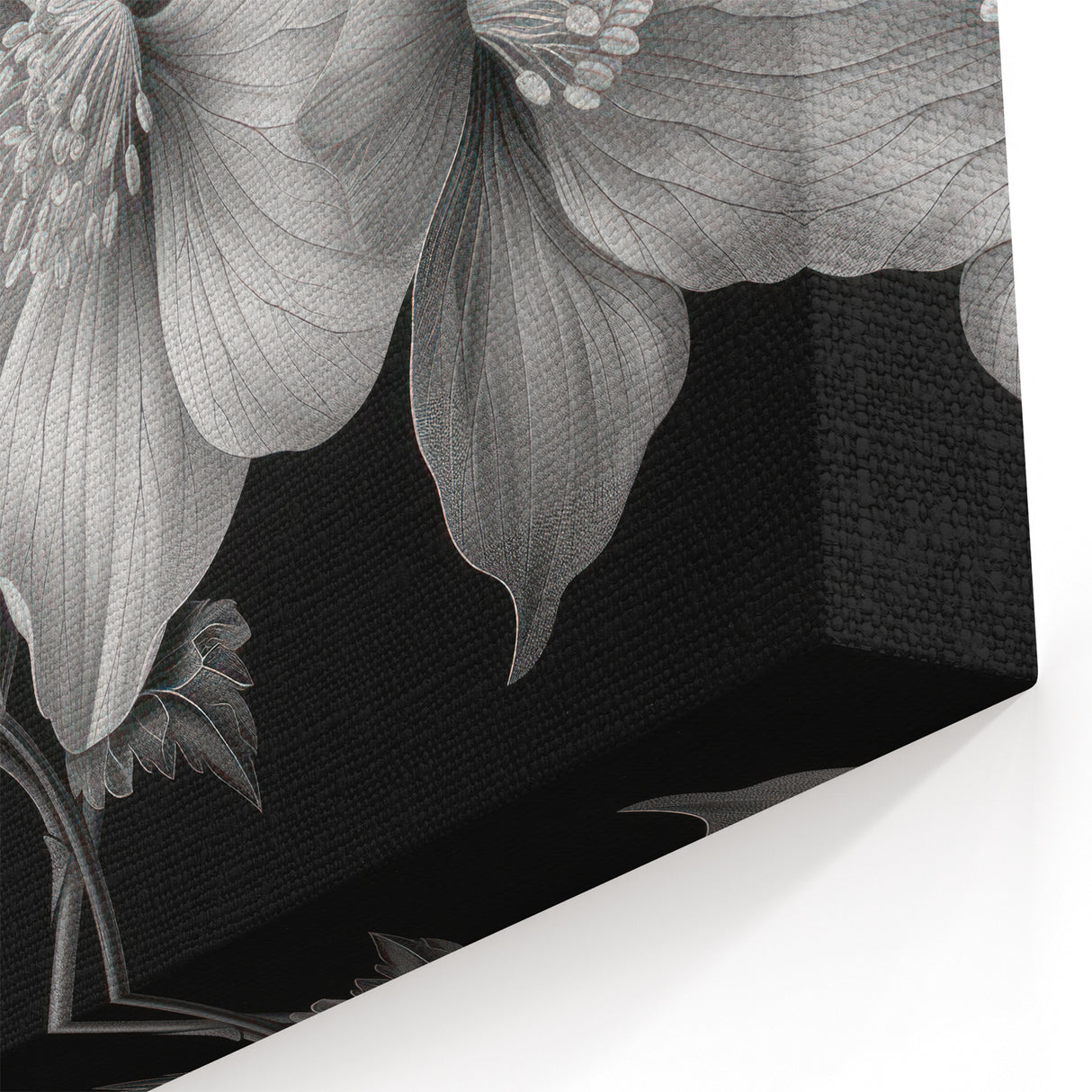 Black and White Floral Art - Elegant Monochrome Botanical Wall Decor