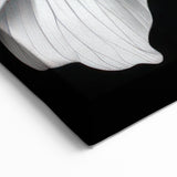 Black and White Floral Art - Elegant Monochrome Botanical Wall Decor