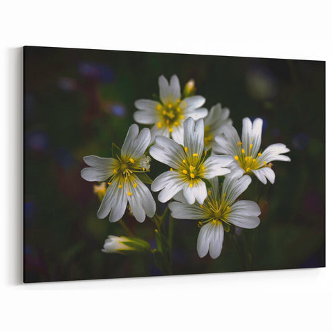 Delicate White Wildflowers Art - Nature-Inspired Botanical Wall Decor