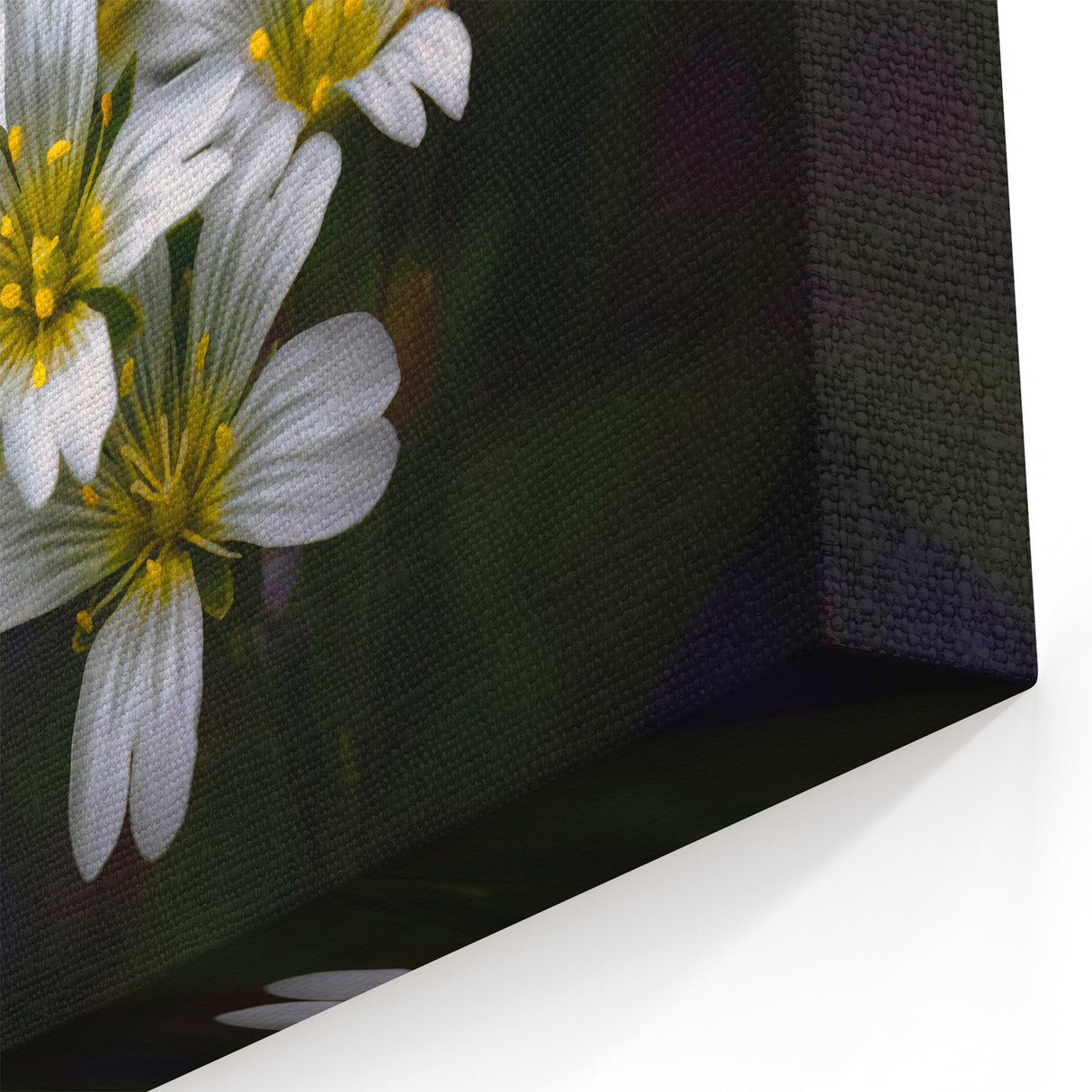 Delicate White Wildflowers Art - Nature-Inspired Botanical Wall Decor