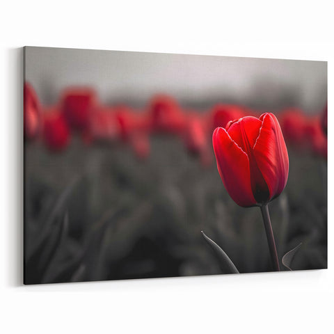 Elegant Tulip Wall Art - Stunning Red Tulip Canvas Prints for Home Décor