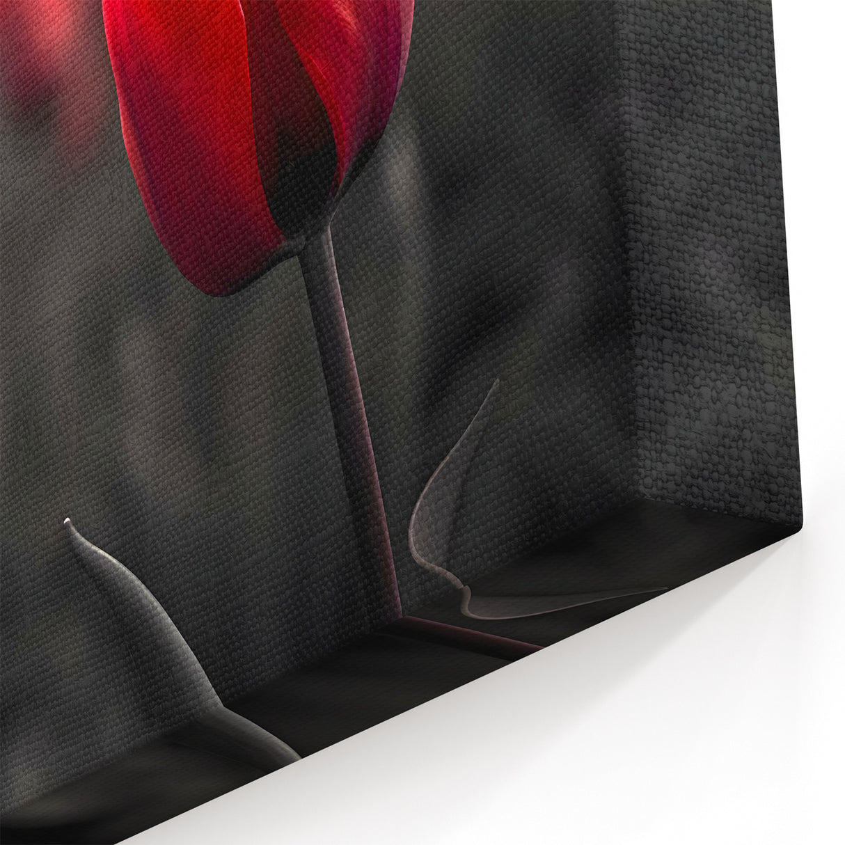 Elegant Tulip Wall Art - Stunning Red Tulip Canvas Prints for Home Décor