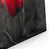 Elegant Tulip Wall Art - Stunning Red Tulip Canvas Prints for Home Décor