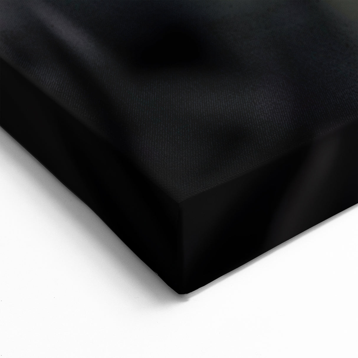 Elegant Tulip Wall Art - Stunning Red Tulip Canvas Prints for Home Décor