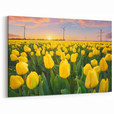 Golden Yellow Tulip Wall Art – Bright Tulip Canvas & Framed Prints